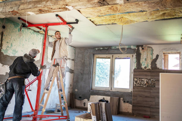 Best Cellulose Insulation  in Winston, OR